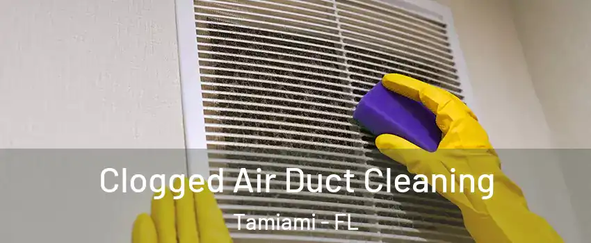  Clogged Air Duct Cleaning Tamiami - FL