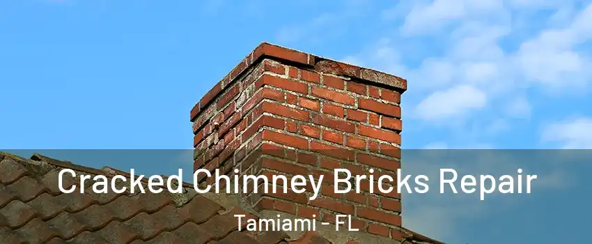  Cracked Chimney Bricks Repair Tamiami - FL