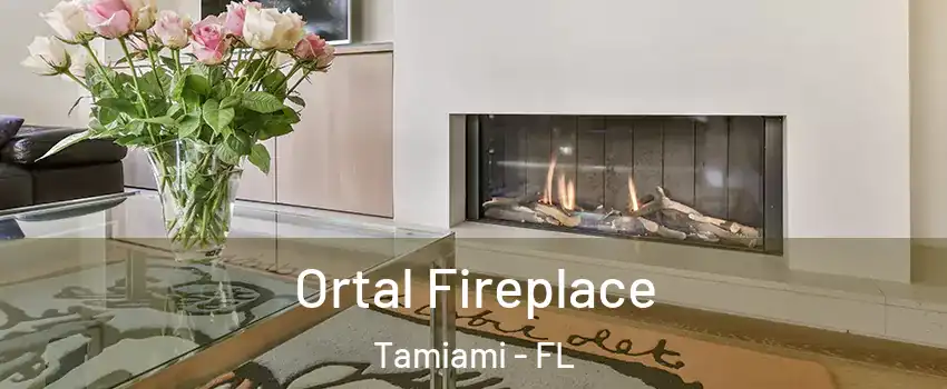 Ortal Fireplace Tamiami - FL
